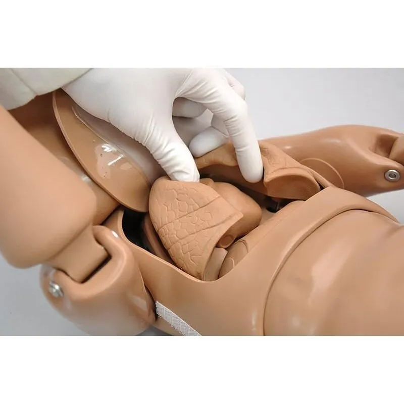 1-Year CPR and Trauma Care Simulator, Light