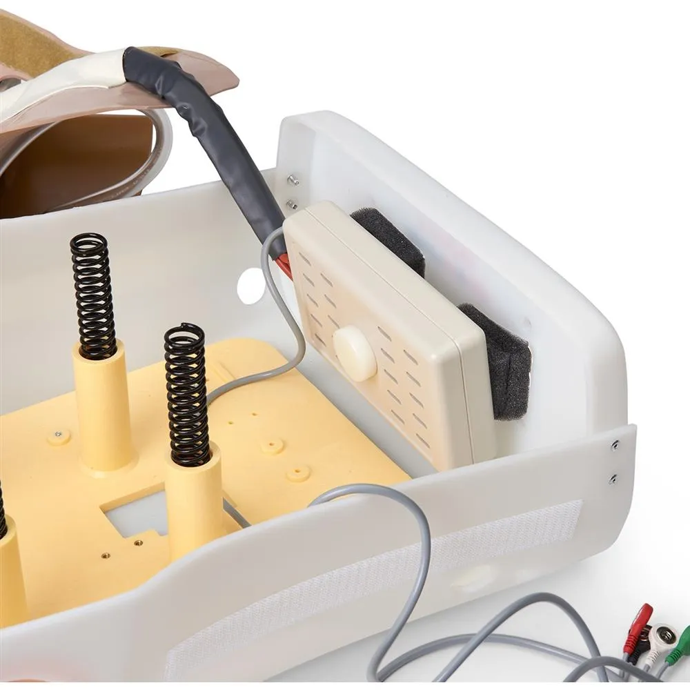 Adult Defibrillation Chest Skin