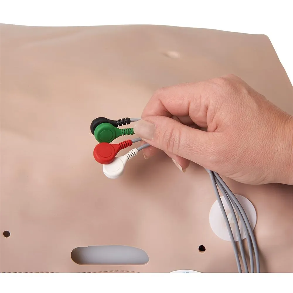 Adult Defibrillation Chest Skin