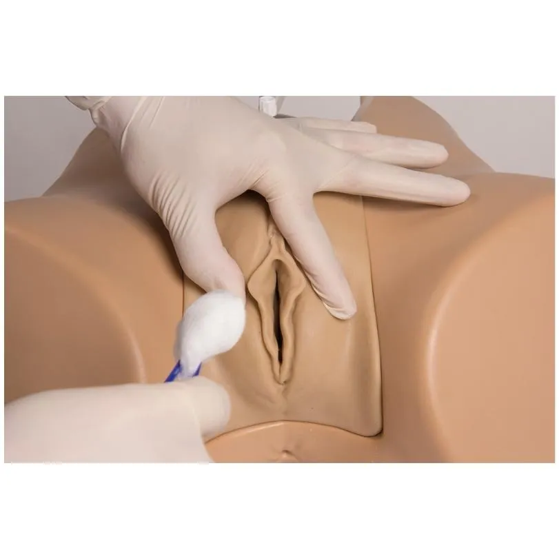 Advanced Bladder Catheterization Simulator Florence, Female