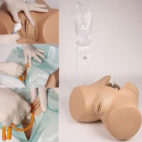 Advanced Catheterization Trainer with Male and Female Genital Insert