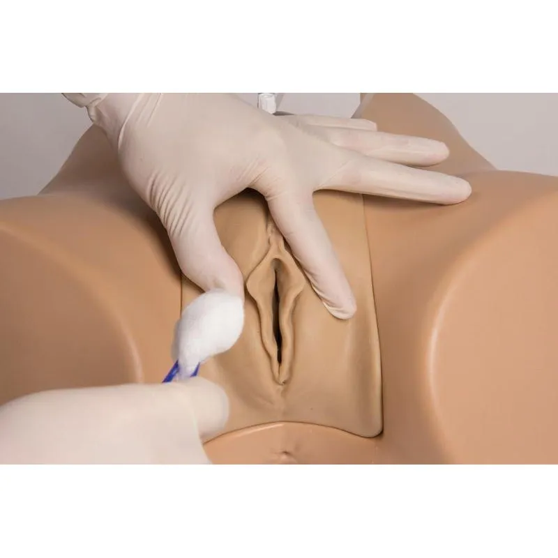 Advanced Catheterization Trainer with Male and Female Genital Insert