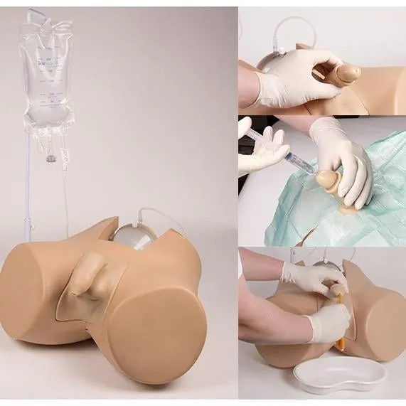 Advanced Catheterization Trainer with Male and Female Genital Insert