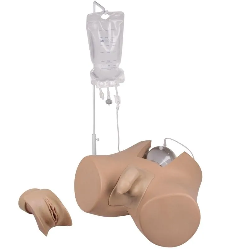 Advanced Catheterization Trainer with Male and Female Genital Insert