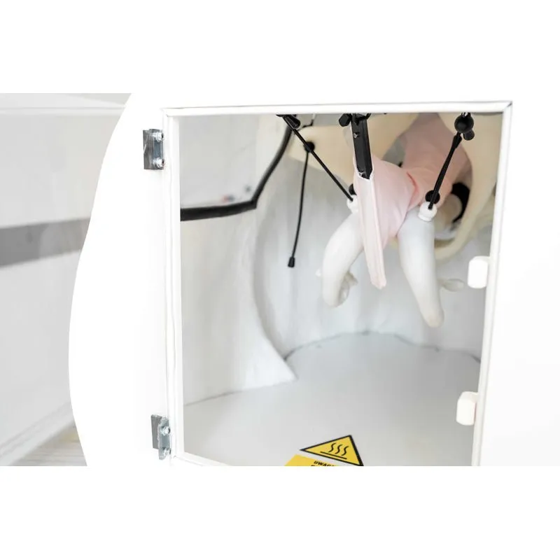 Advanced Simulator For Artificial Insemination (Ai) of the Cow