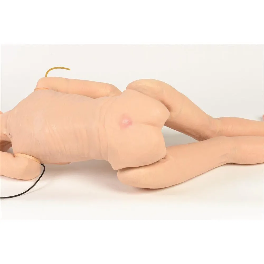 Advanced TERi™ Geriatric Patient Skills Trainer with Auscultation