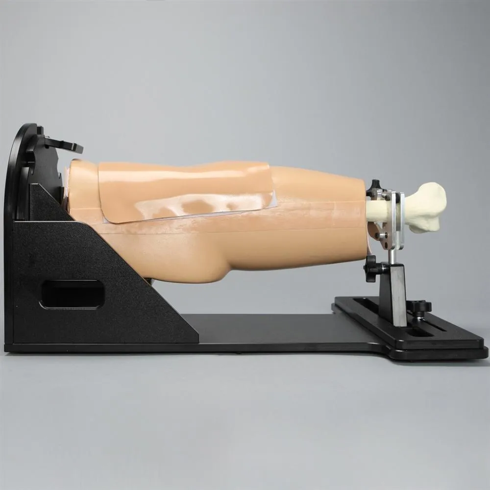 Arthroscopy Hip Model On Deluxe Stand