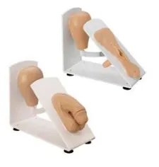 Male & Female Catheterization Trainer Set